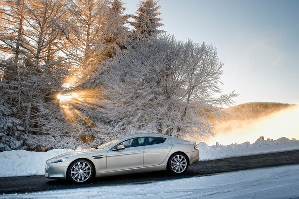 Frosty morning. A cold car. Metallic color