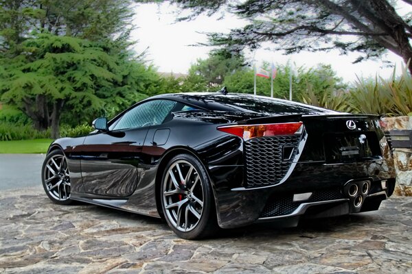 Supercar Lexus nera sulla strada di campagna