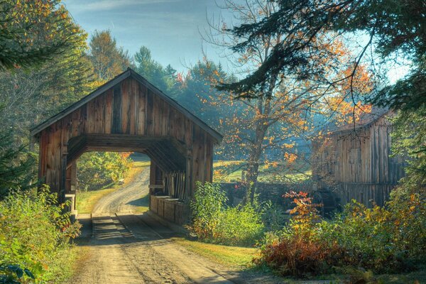 En otoño, el bosque, donde a lo largo del camino de los árboles-chic!