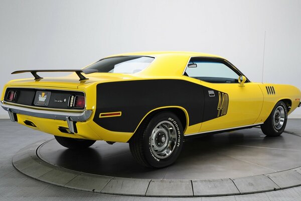 Baby Plymouth in a yellow-black shade