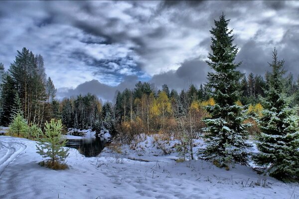 Winterbäume, Fluss und Wald am Abend