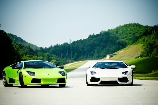 Due Lamborghini mursilago in verde e bianco