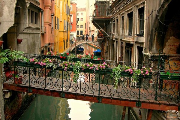 Brücke mit Blumen über dem Wasser in Venedig