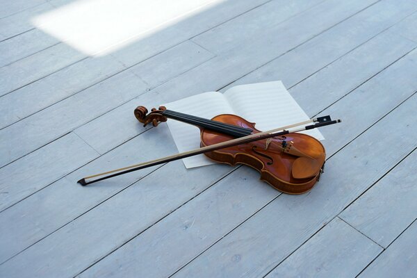 Maravilloso violín con arco violin