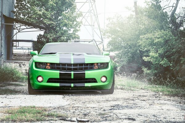 Green Chevrolet Camaro with black stripes in the center