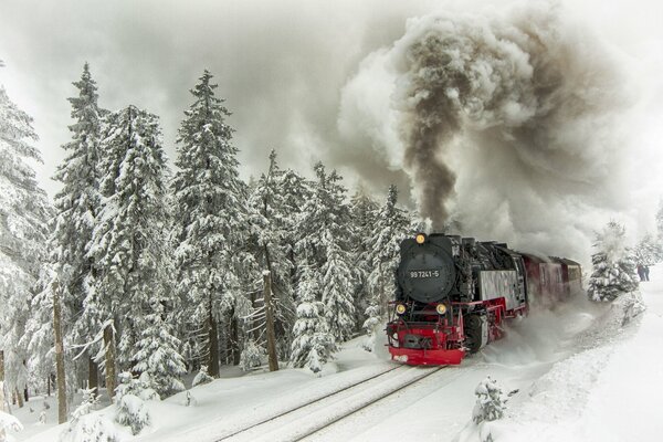 Winter landscape train rushes through the forest