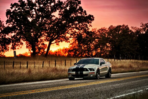 Silver Ford Mustang rides on the road against the sunset