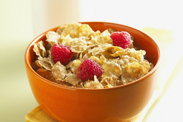 Cereal de Desayuno con frambuesas en un hermoso platillo