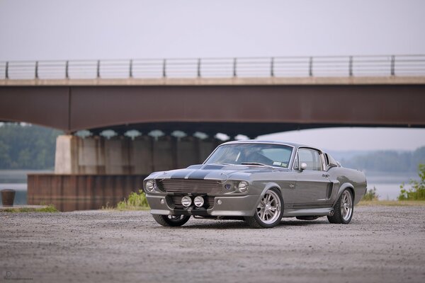 Grauer Ford Mustang unter der Brücke