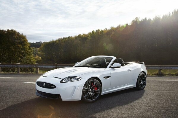 White Jaguar convertible on the road