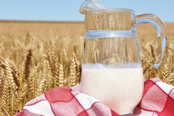 Jarra de leche en un campo de trigo