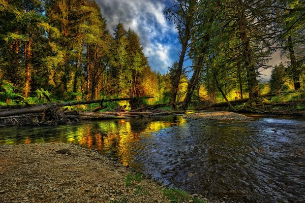 Mesmerizing autumn landscape on the river