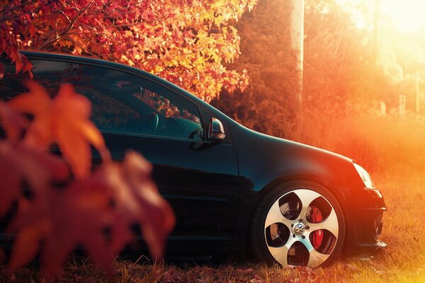 Der Vw Golf ist besonders im Herbst bei jedem Wetter gut