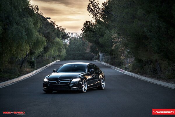 Black Mercedes C 219 on the road among the trees