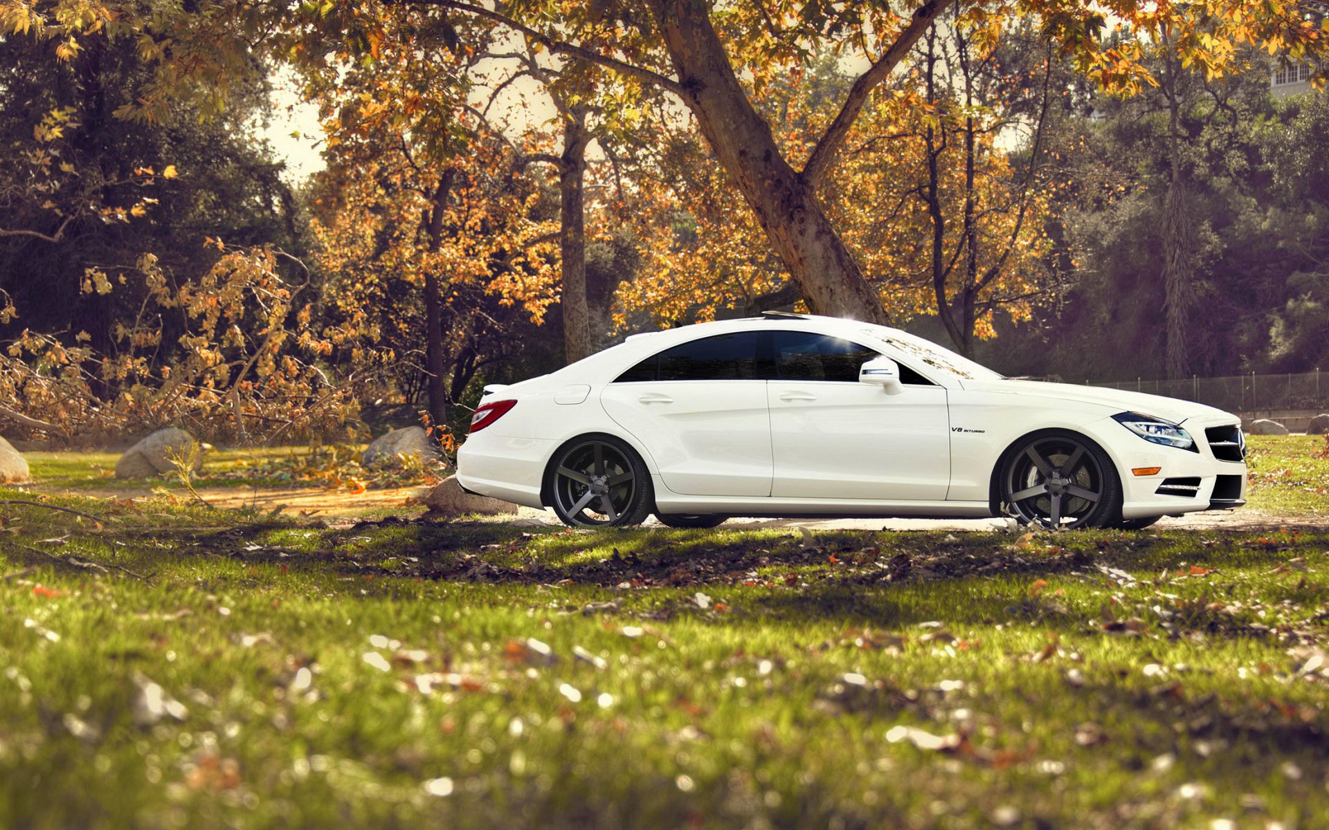 mercedes benz cls mercedes tuning naturaleza