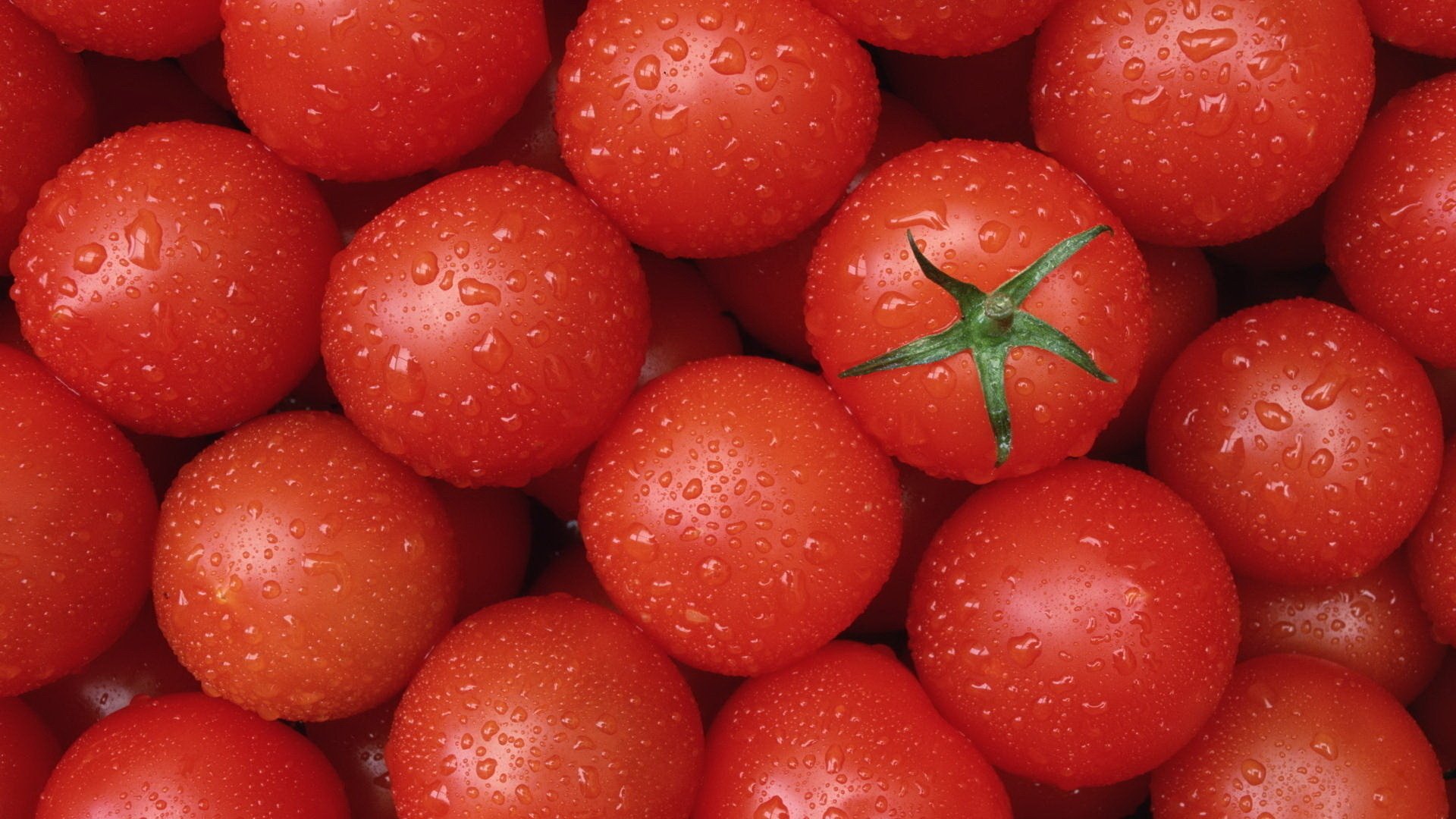 clean delicious red tomatoes tomatoes food