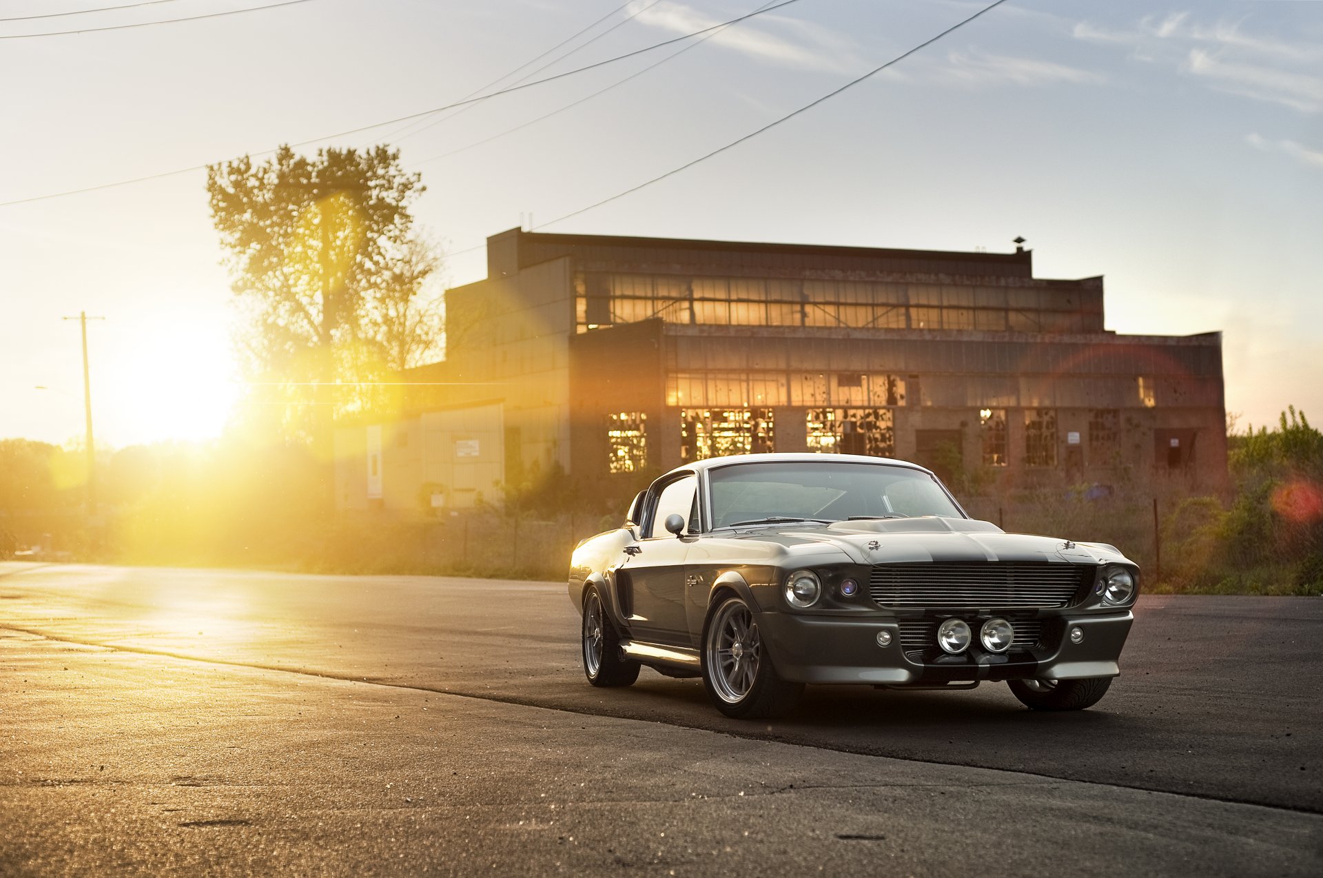 ford shelby gt 500 eleanor silber muscle car vorne muscle car silber gebäude sonne blendung