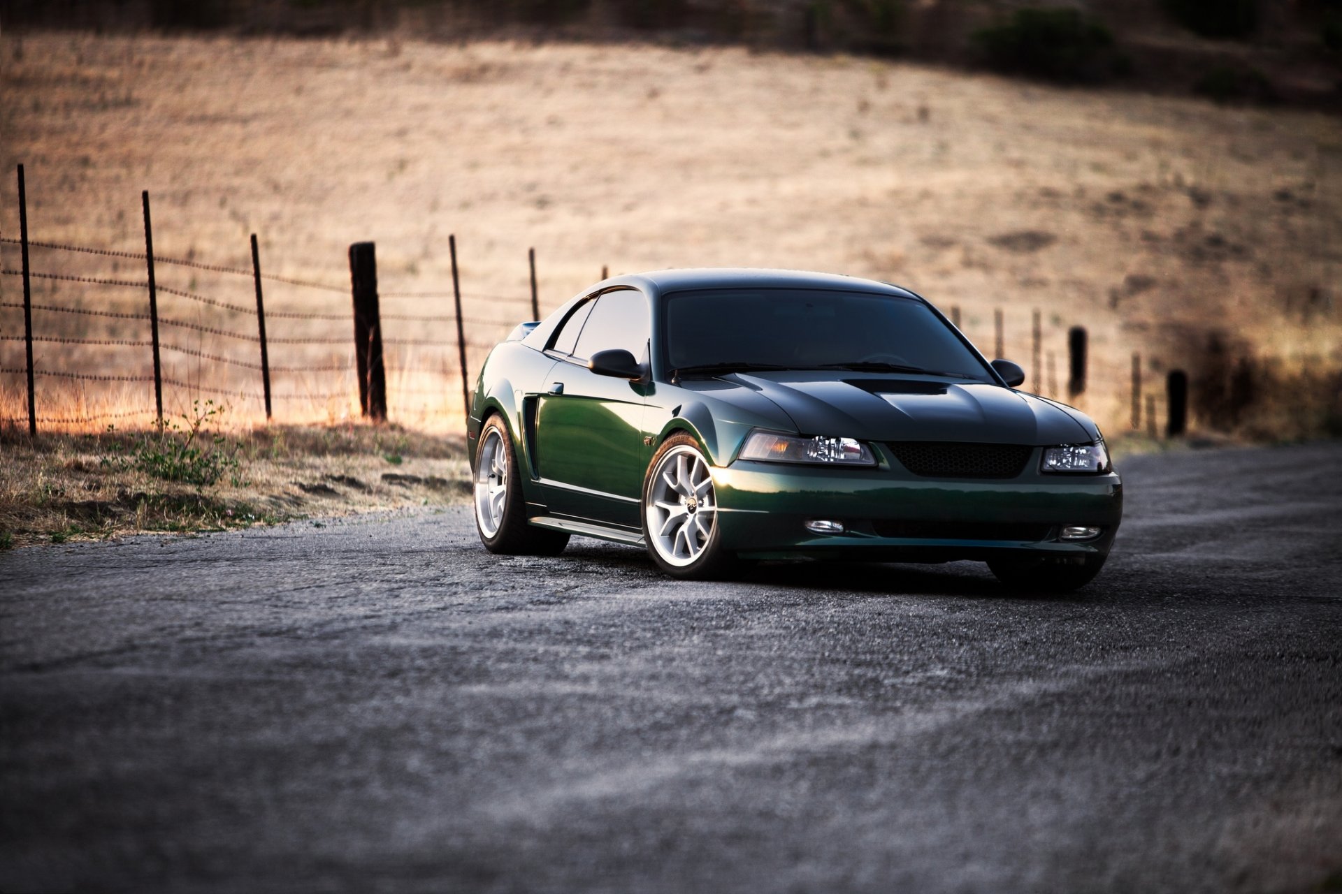 ford mustang green road field fence