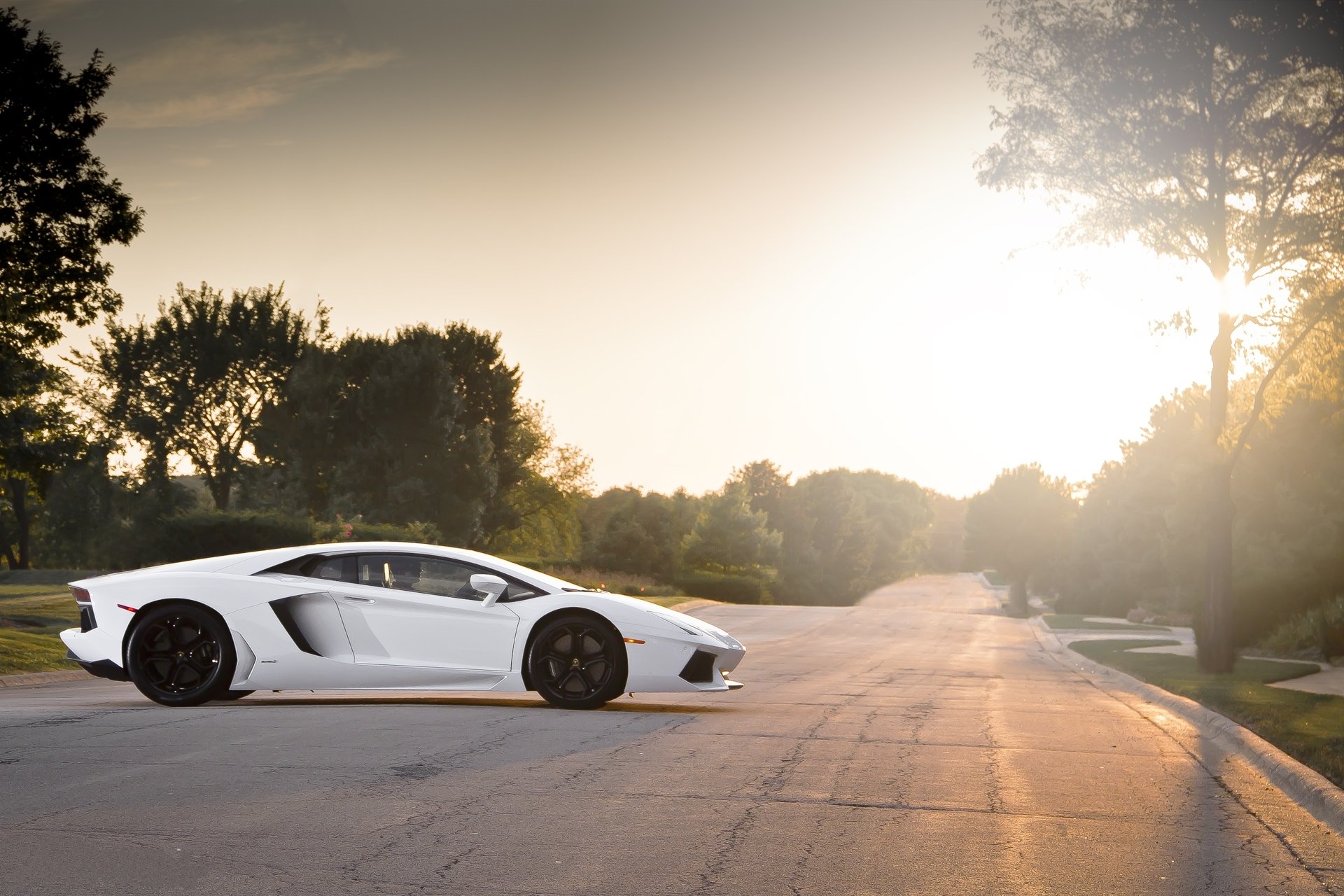 lamborghini aventador lp700-4 weiß schwarz räder lamborghini aventador profil schwarze felgen straße bäume sonnenuntergang blendung