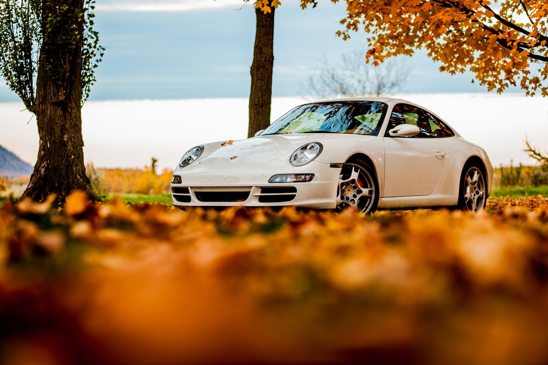 porsche 911 biały jesień drzewo liście niebo porsche liście