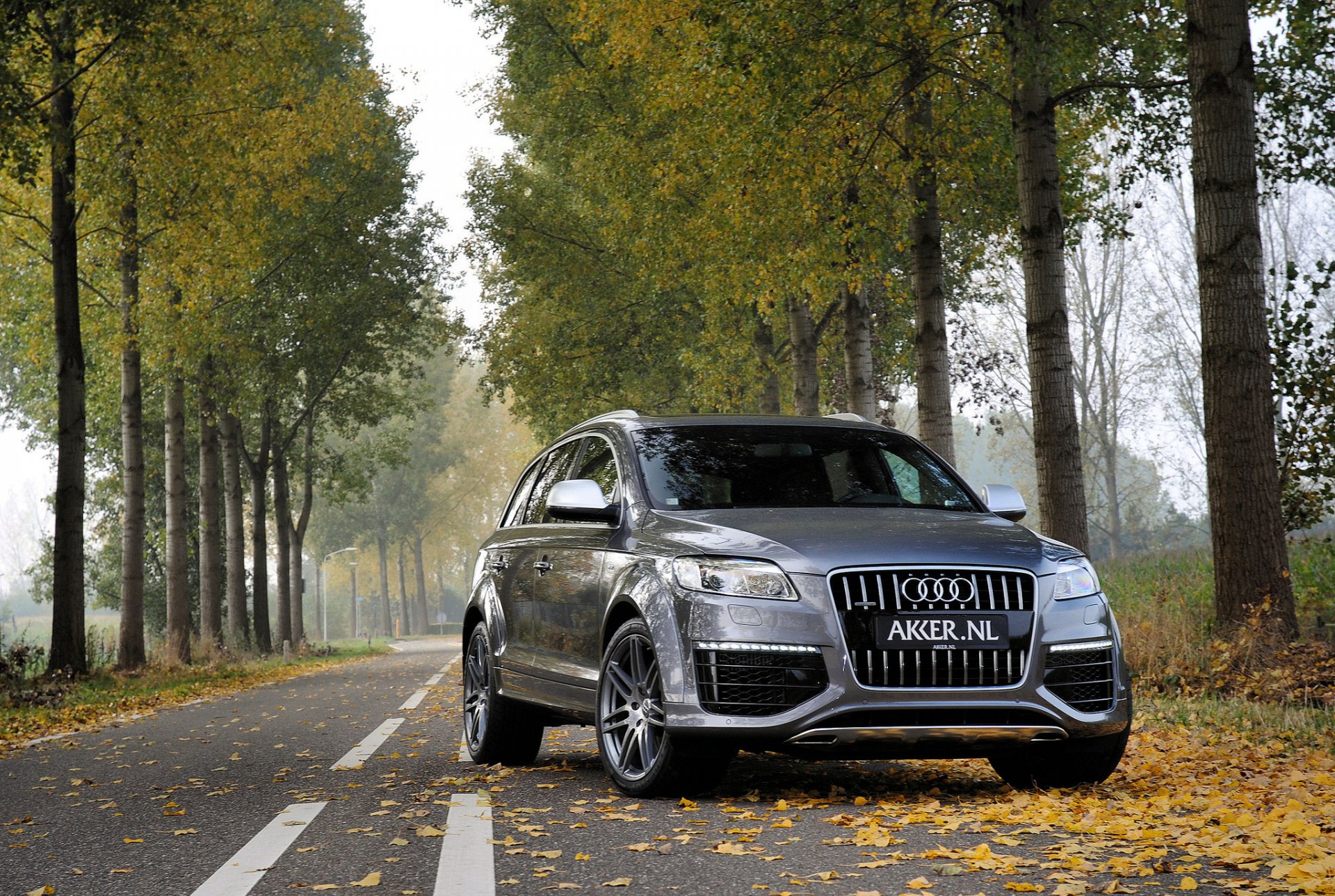 audi q7 grigio metallo jeep audi metallico autunno foresta alberi foglie