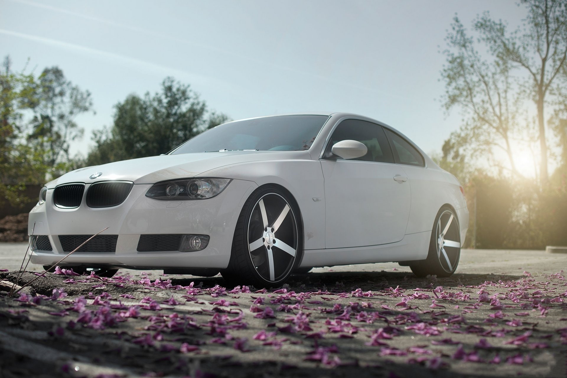 bmw auto voitures tuning jantes jardin arbres pétales