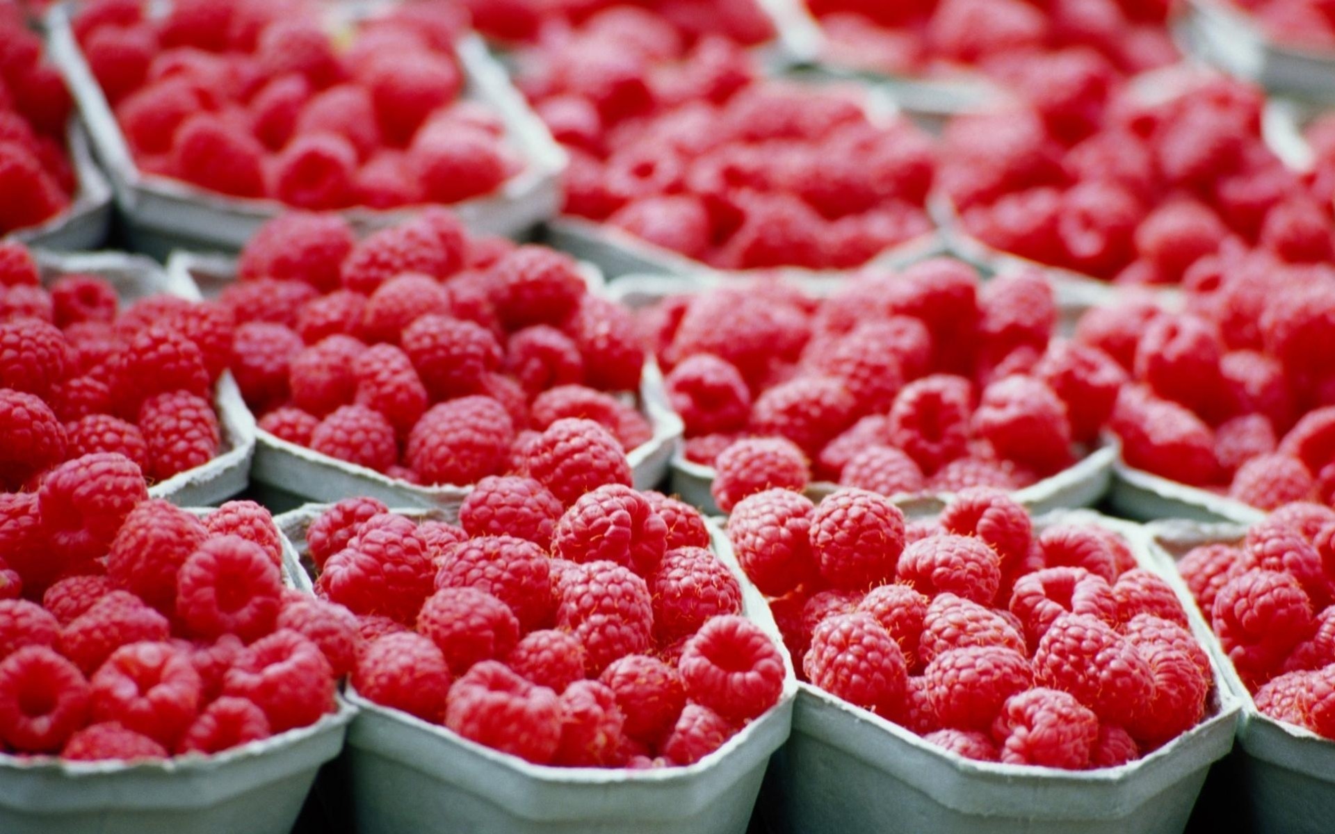 box berries raspberry tray