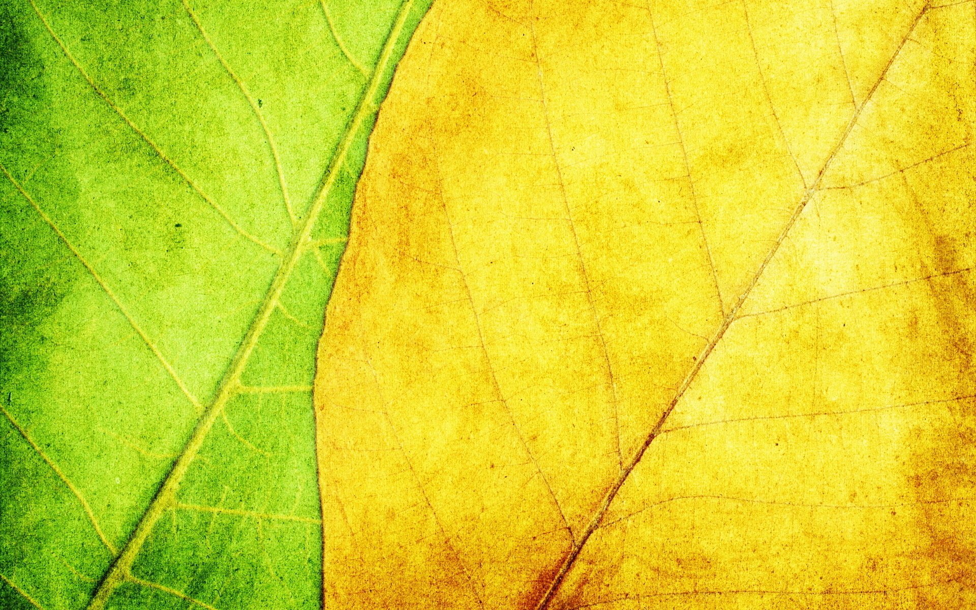 texture leaves yellow background green