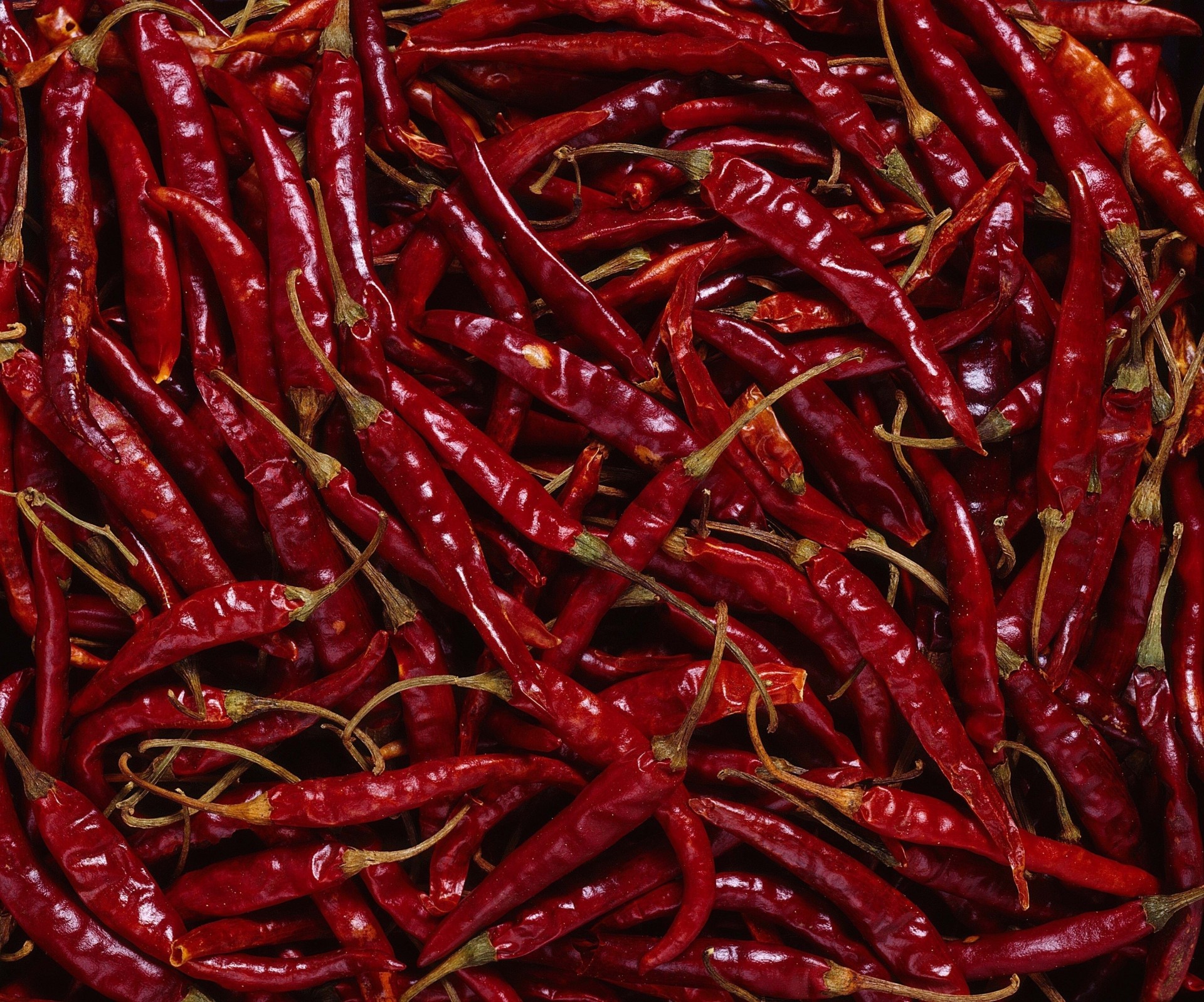 chile pepper