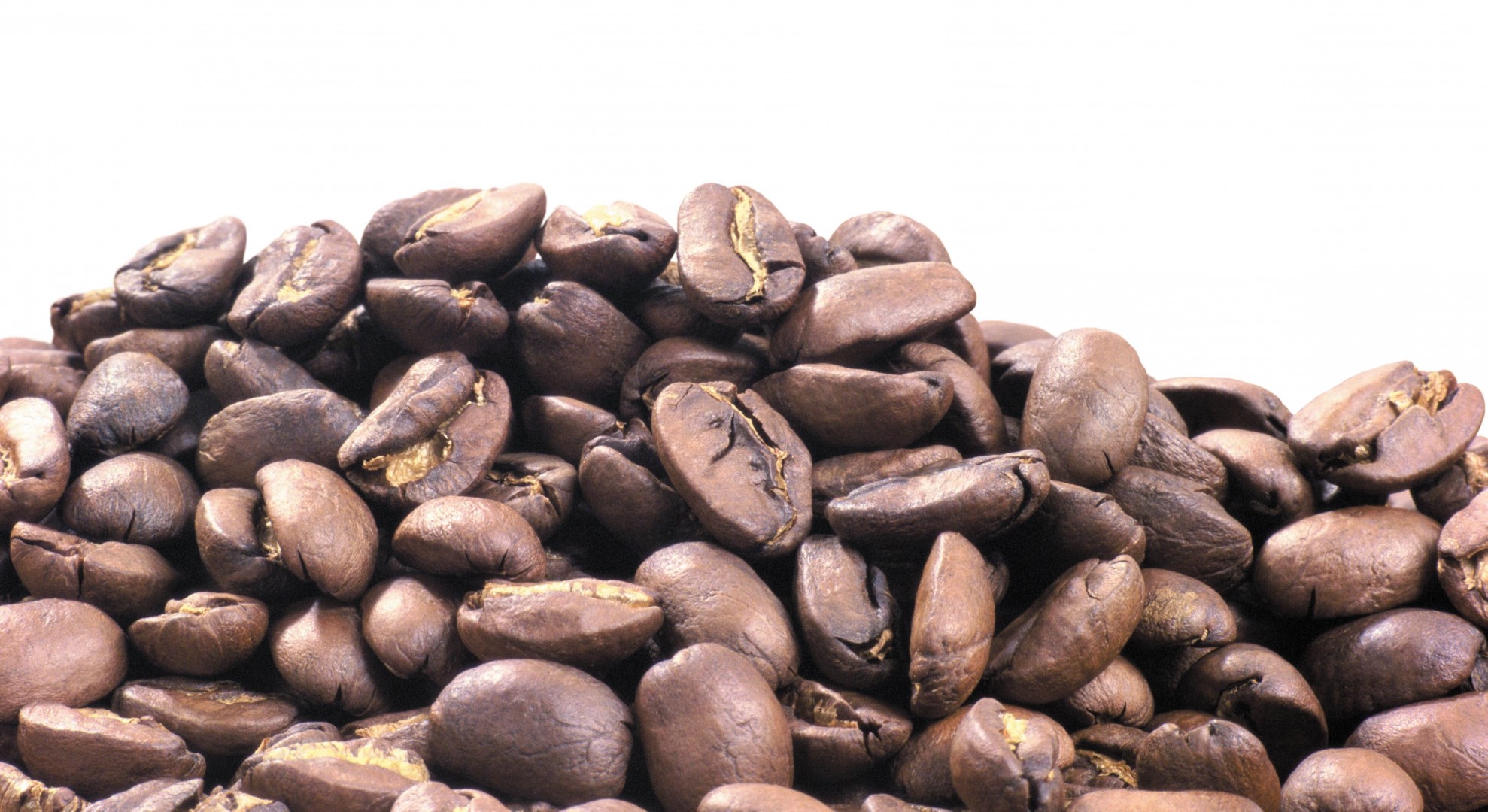 coffee white background grain many