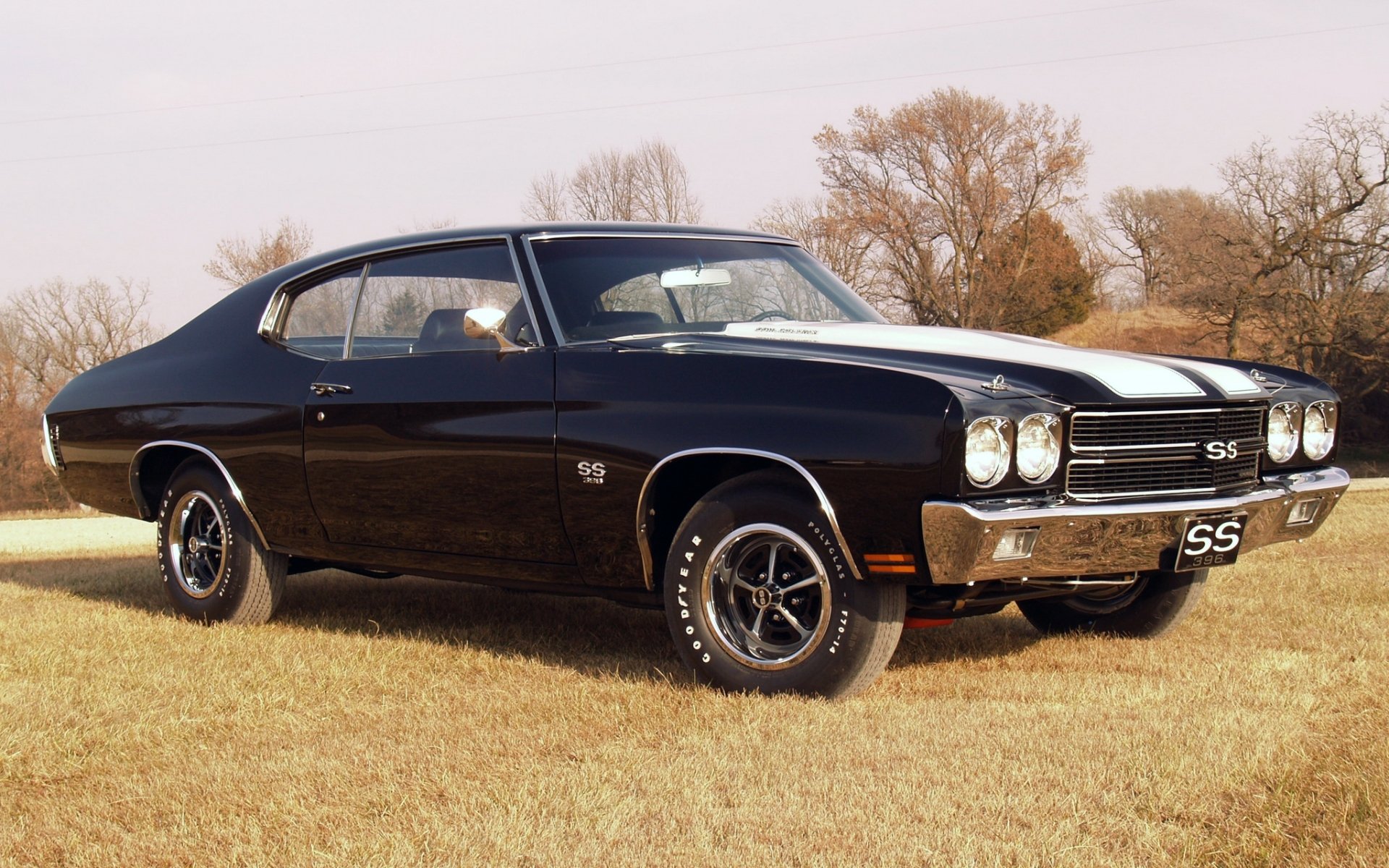 chevrolet chevelle ss techo duro coupe chevrolet cheville techo duro frente coche del músculo coche del músculo hierba árboles cielo