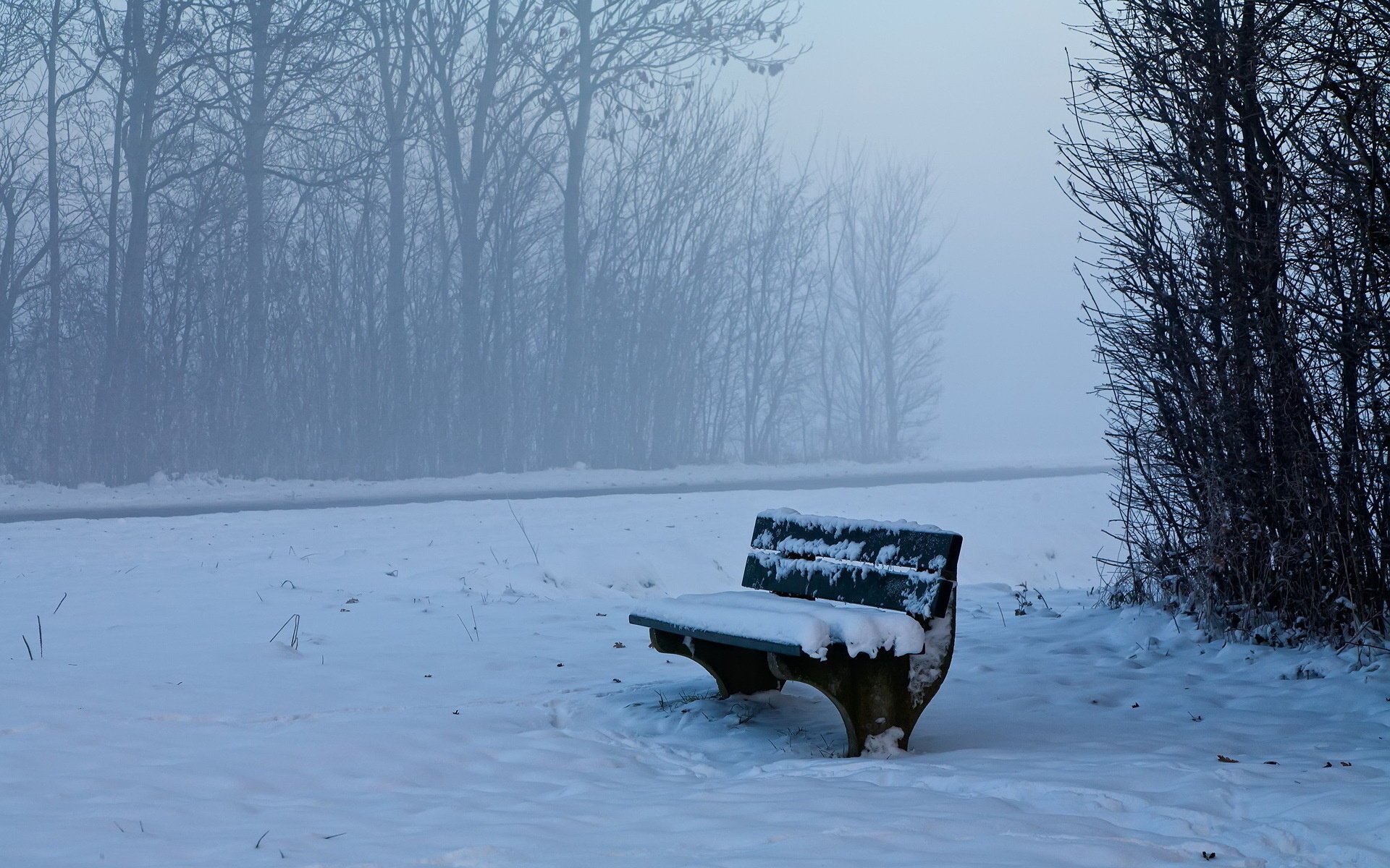 inverno panchina neve