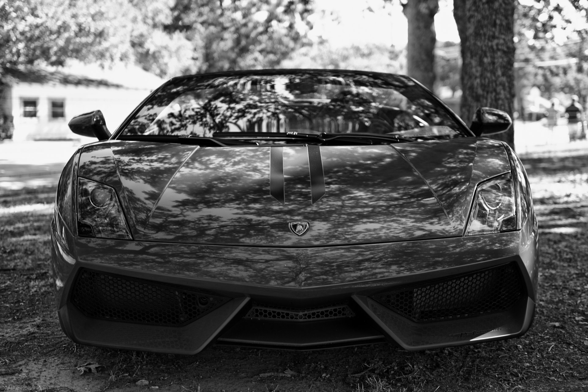 lamborghini gallardo supercar pug light b / w