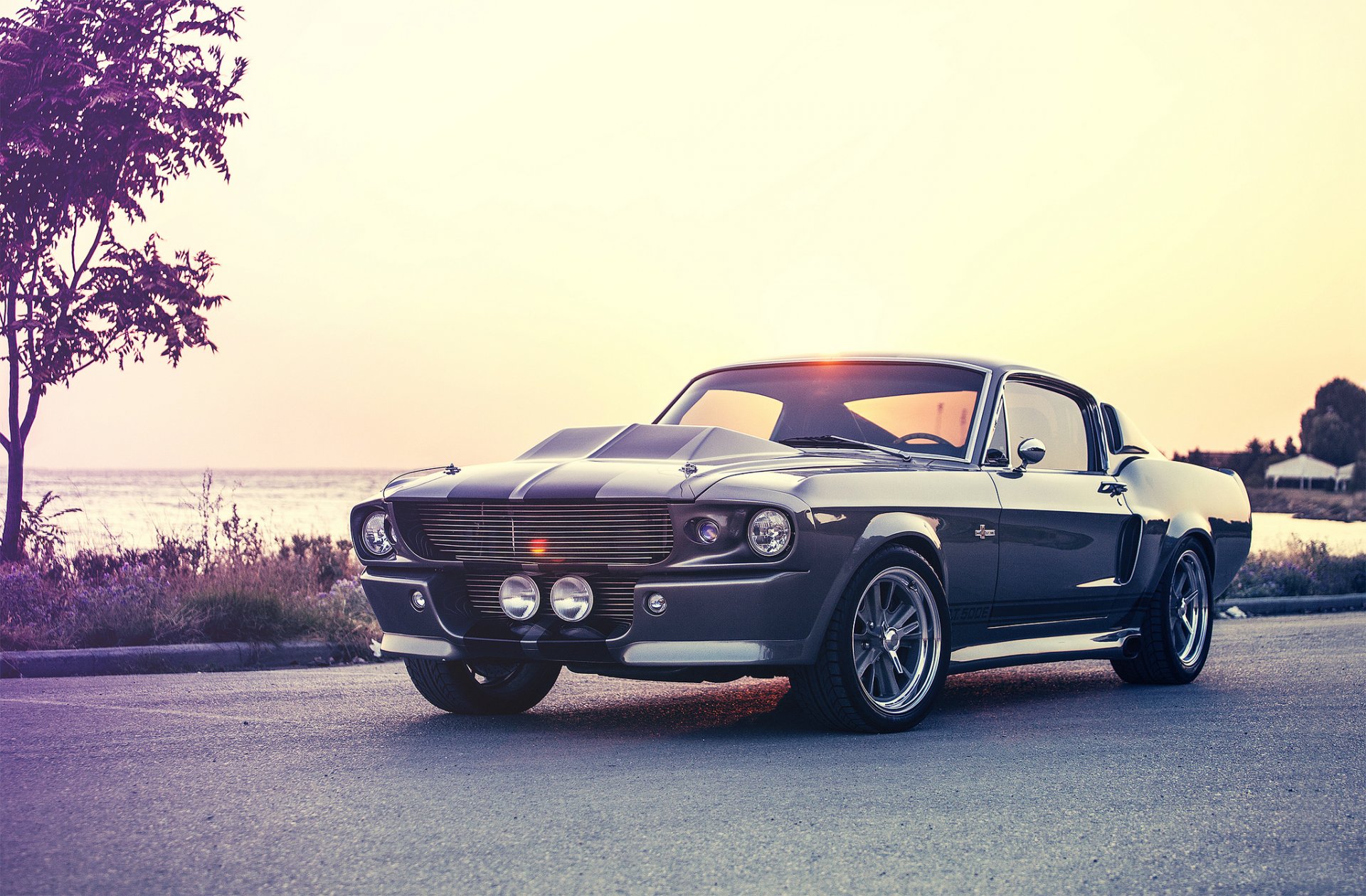 ford mustang eleanor shelby gt500e giannes kokkas fotografía