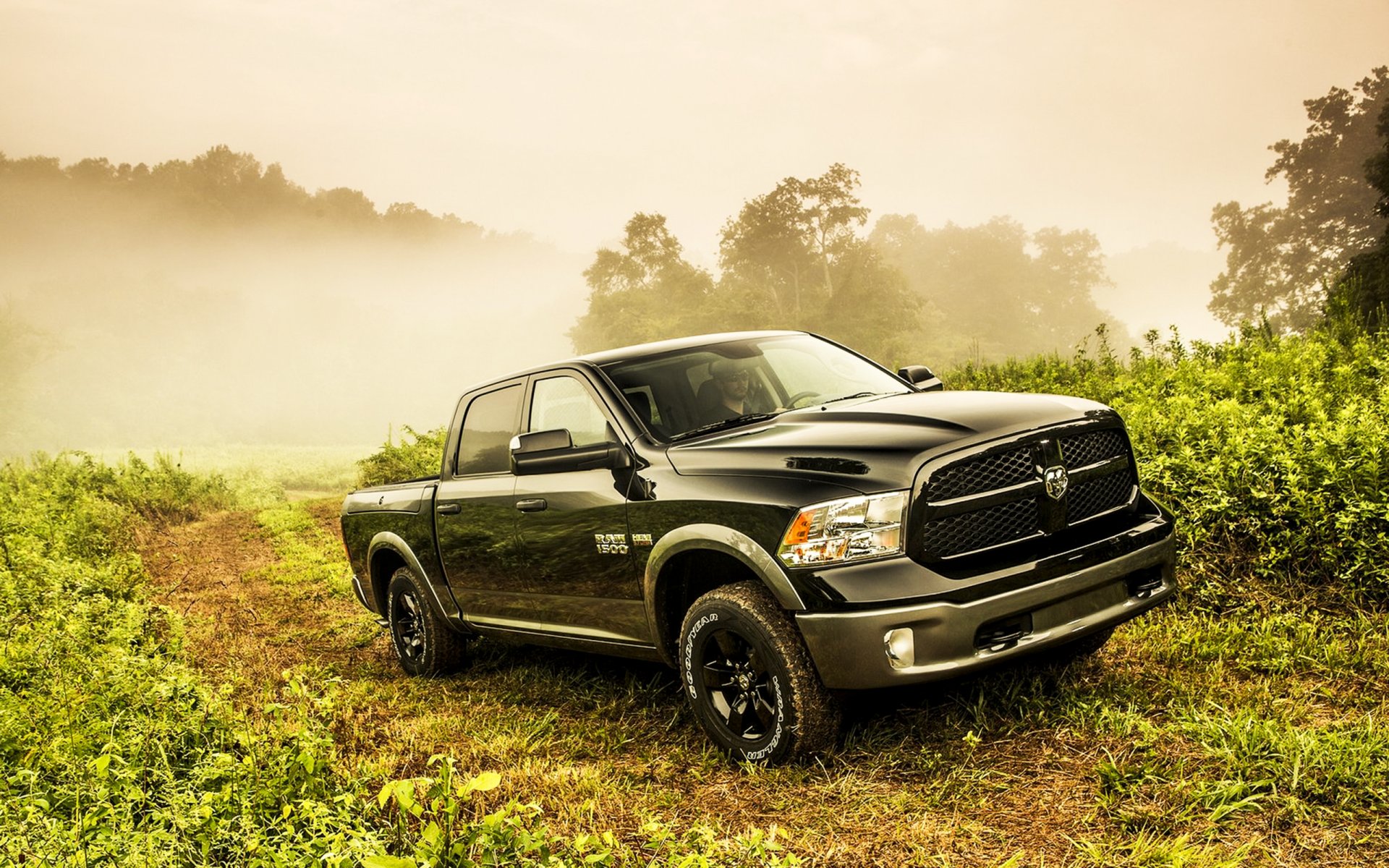 dodge ram 1500 ciężarówka 2013 czarny hemi 5.7-litrowy sposób roślinność droga 4x4