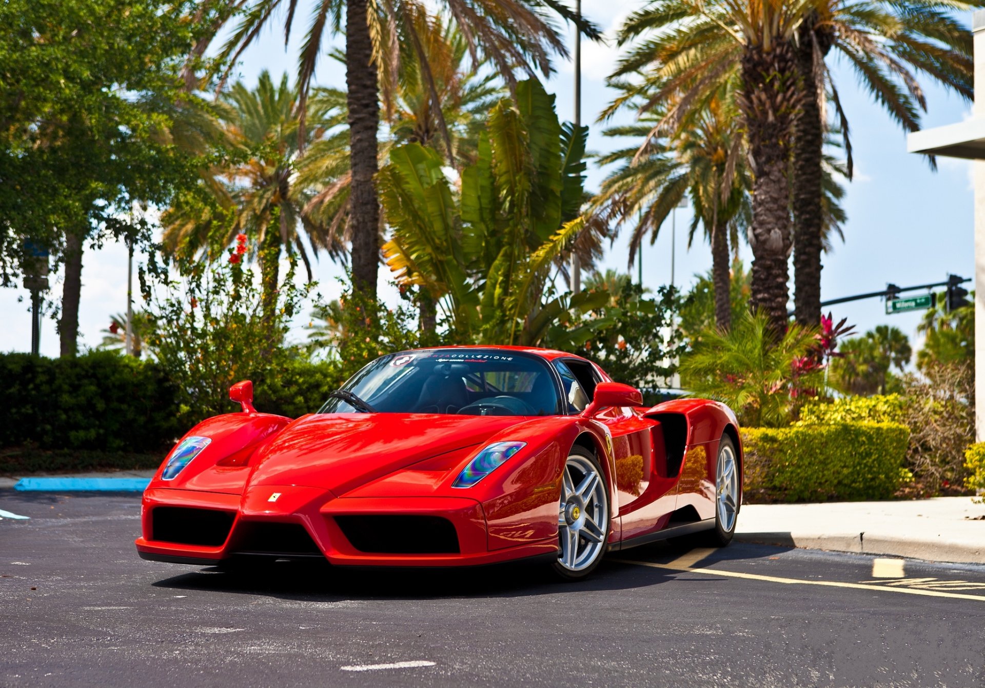 ferrari enzo red ferrari red front view reflection asphalt tree