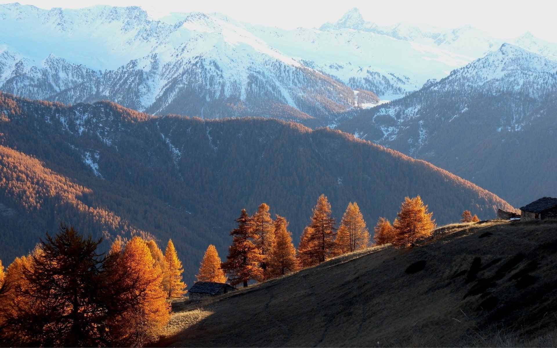 autumn mountains trees hill forest