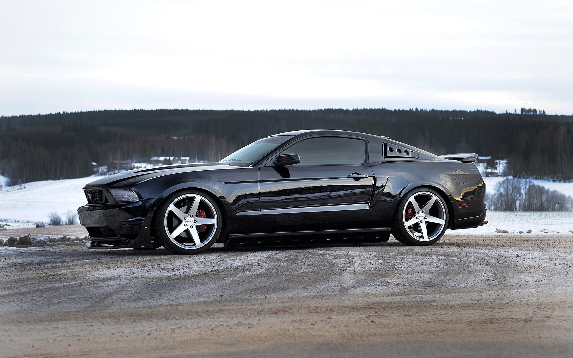 ford mustang schwarz profil felgen horizont wald himmel