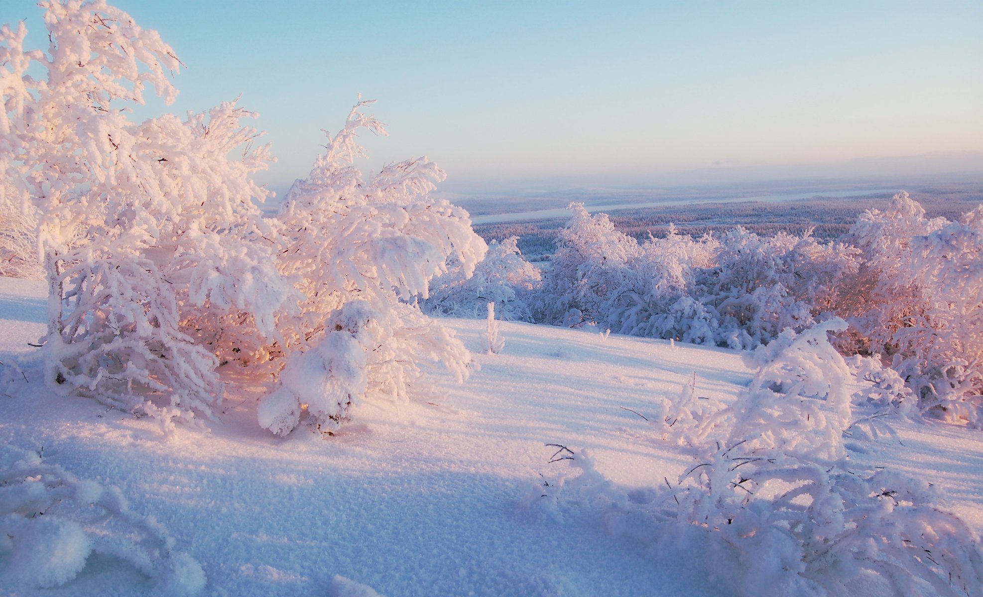 invierno horizonte cielo soleado árboles luz nieve