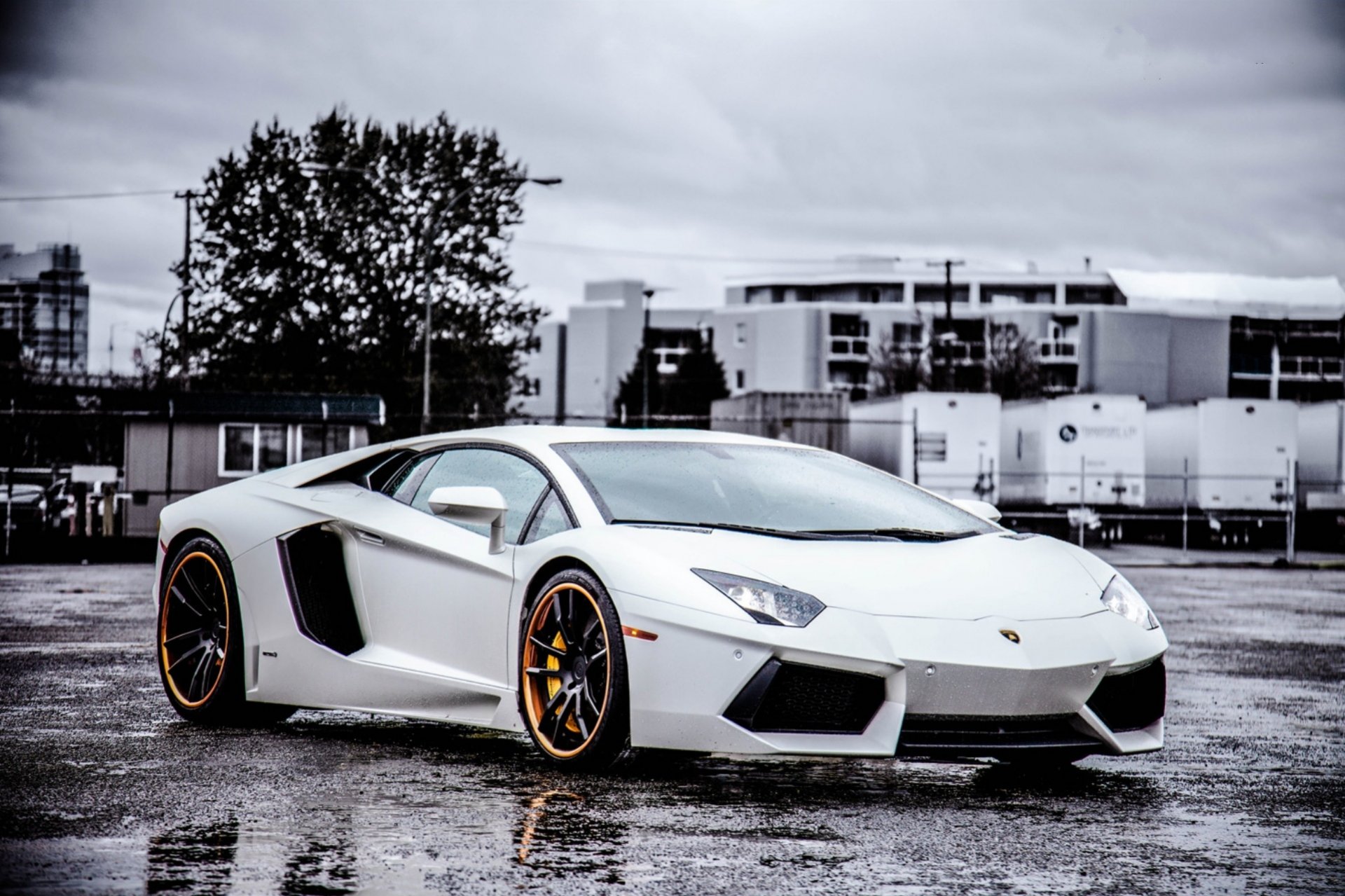 lamborghini aventador lp700-4 blanc roues noir lamborghini aventador vue de face phare jantes noires ciel nuages humide asphalte