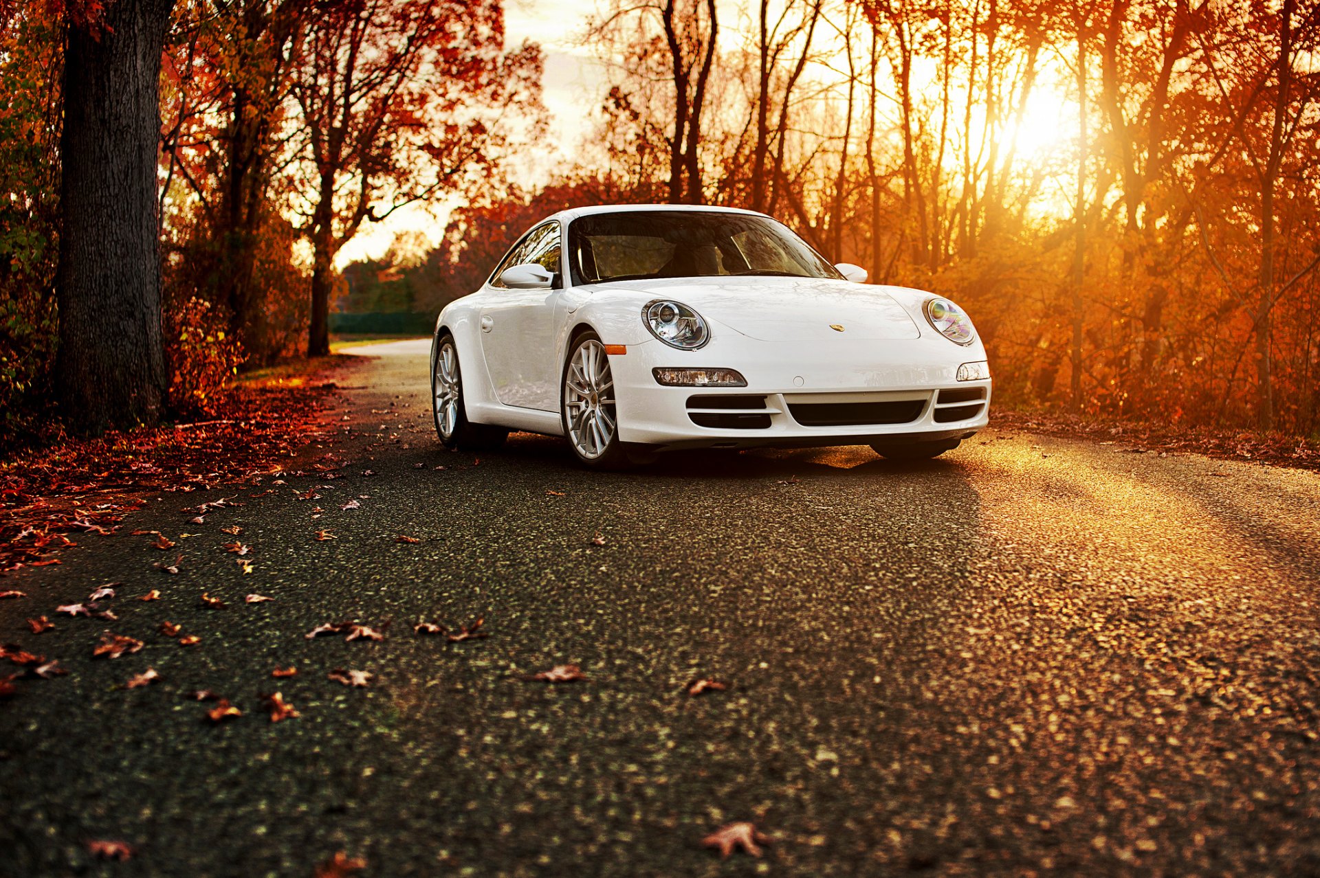 porsche 911 carrera s porsche 911 biały jesień