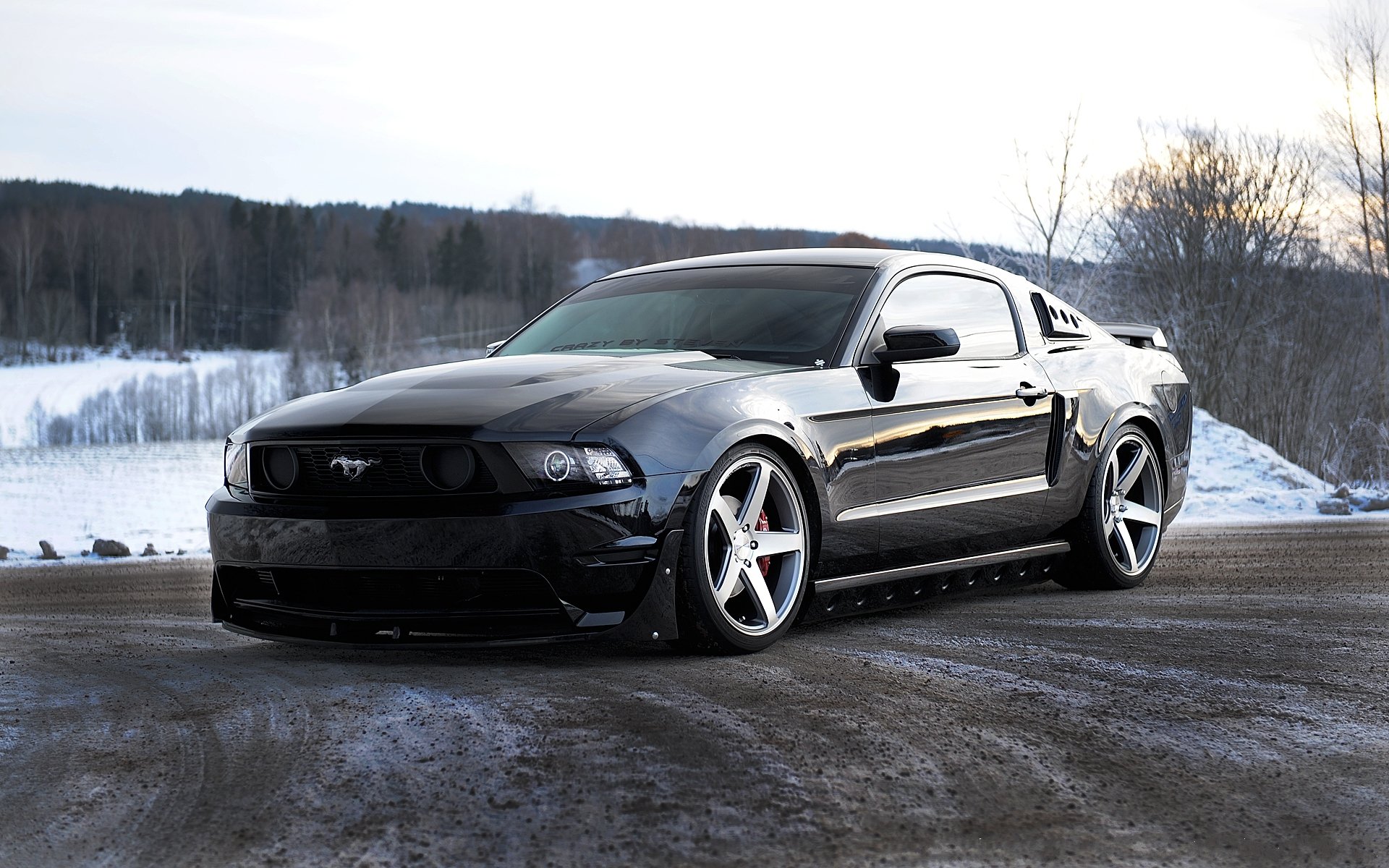 ford mustang schwarz front straße himmel bäume