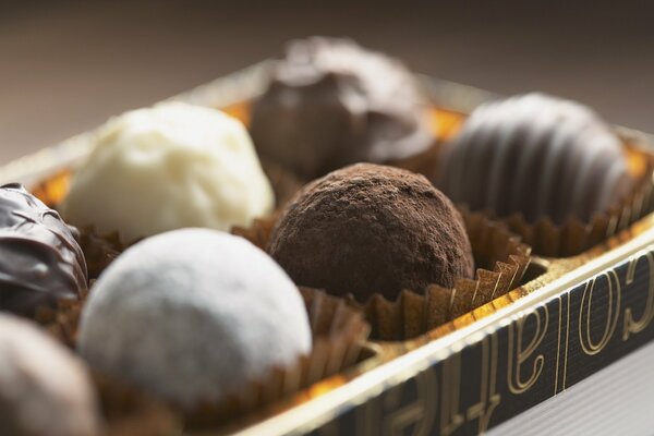 Chocolate candies by the type of truffle in cocoa