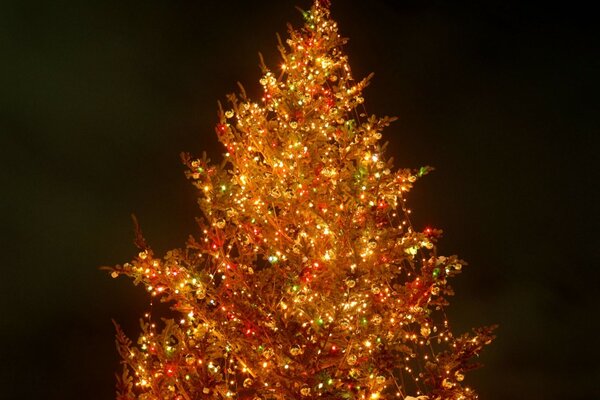 Albero di Natale elegante che brilla di luci, su uno sfondo scuro