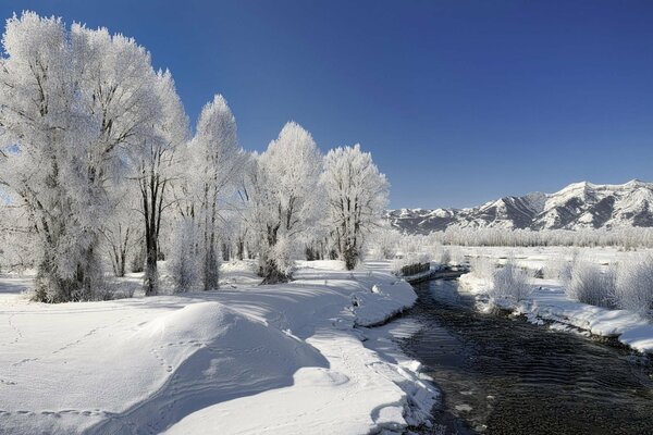 Ein Fluss ohne Eis inmitten eines Winterwaldes