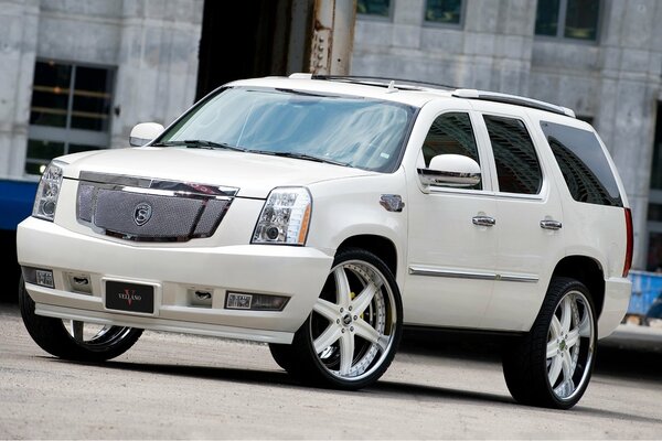 White tinted Cadillac Escalade