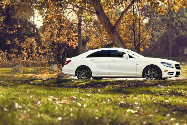 Mercedes tuning blanc sur fond de forêt