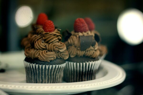 Sweet chocolate cupcakes with raspberries