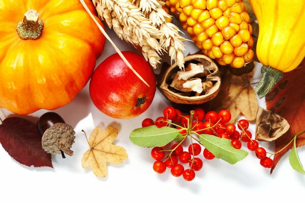 Autumn vegetables berries and nuts