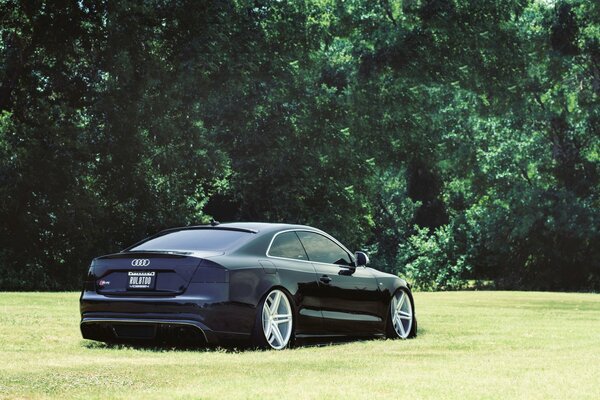 Sehr niedriger schwarzer Audi auf grünem Gras